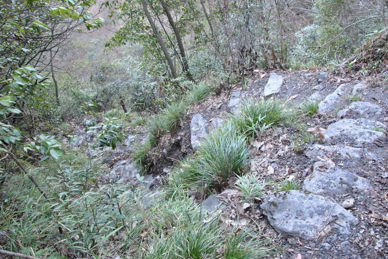 p 129.jpg