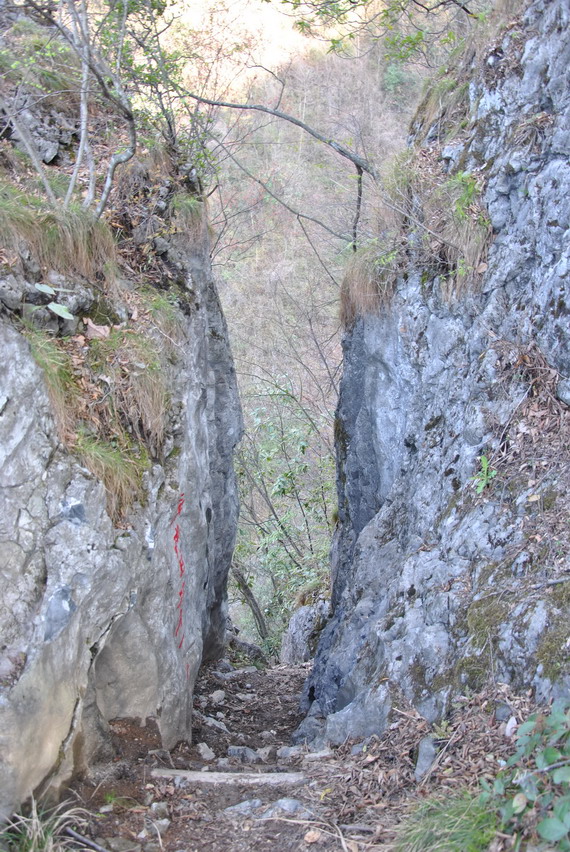 p 136.jpg