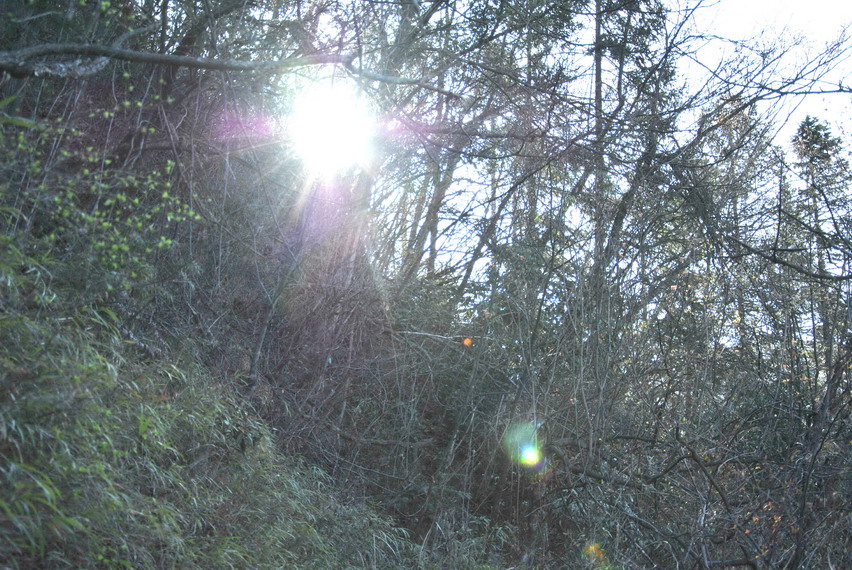 p 137.jpg