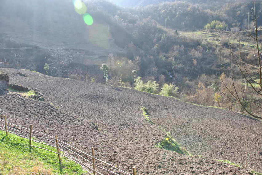 p 144.jpg