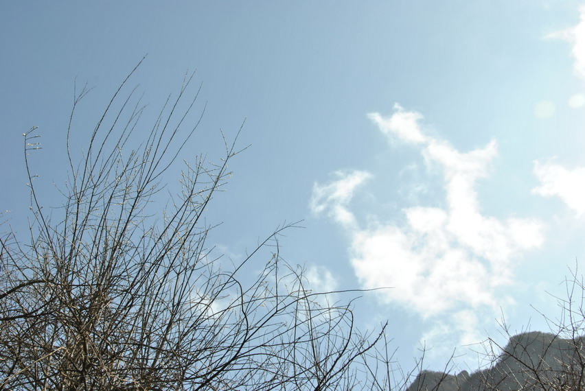 p 165.jpg