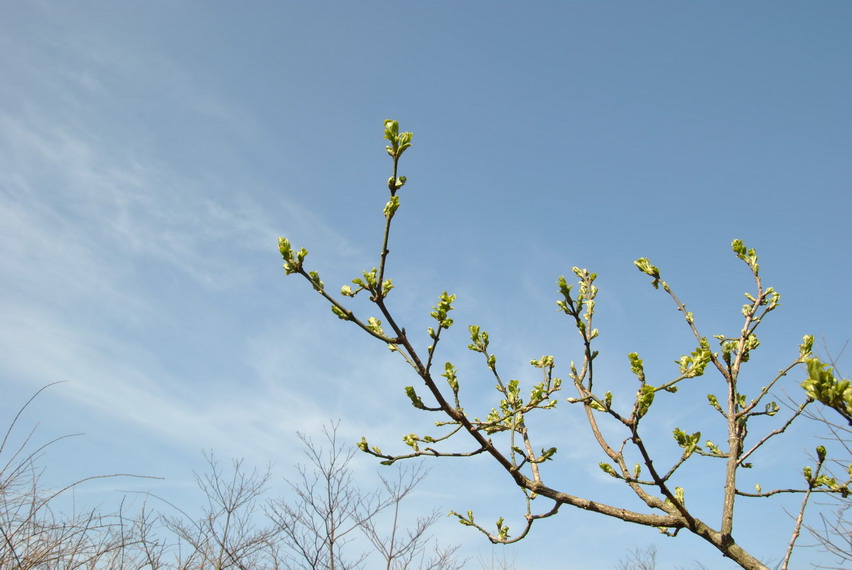 p 169.jpg