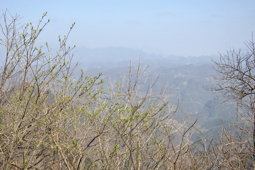 p 175.jpg