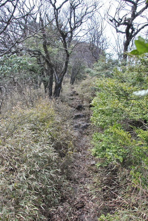 p 180.jpg
