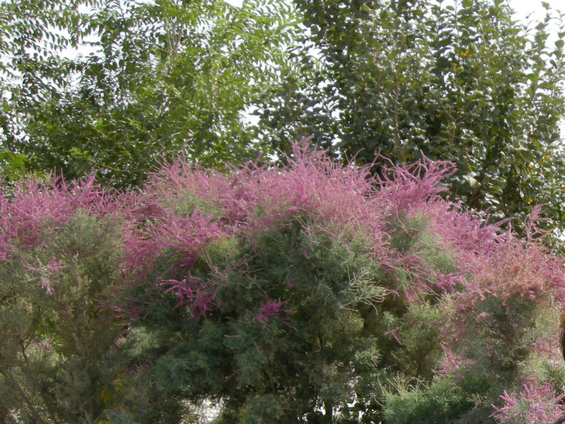 dscn3246.jpg
