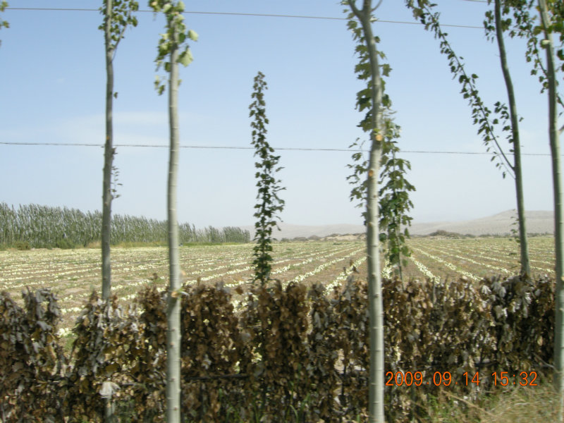 dscn3260.jpg