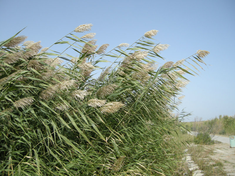 dscn3263.jpg