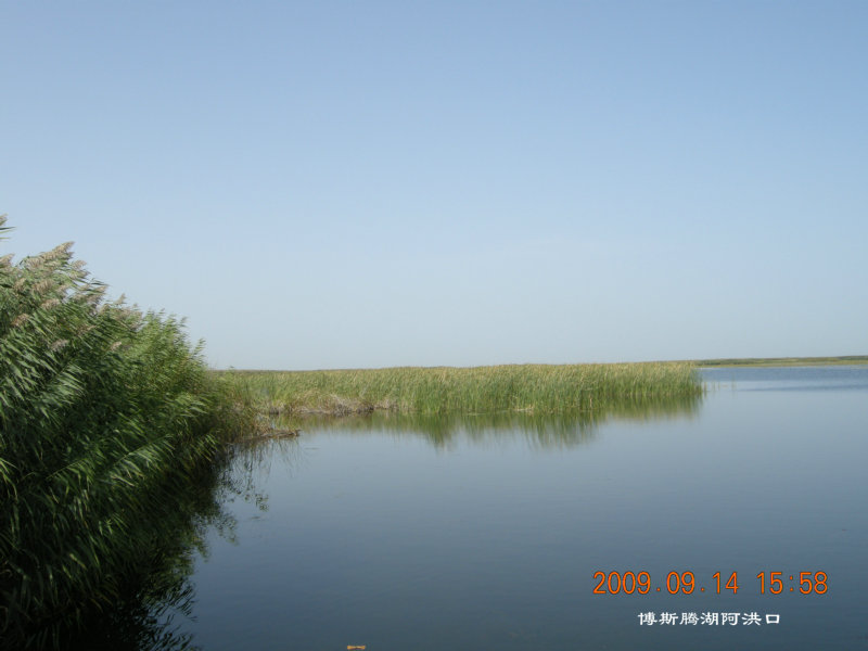 dscn3276.jpg