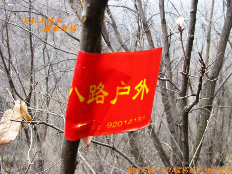 ̫֮2 1004.jpg