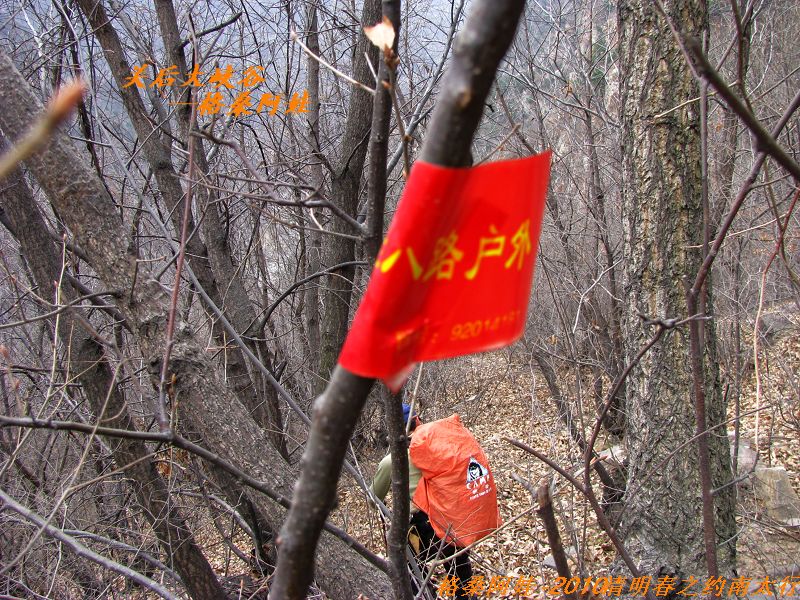 ̫֮2 1003.jpg