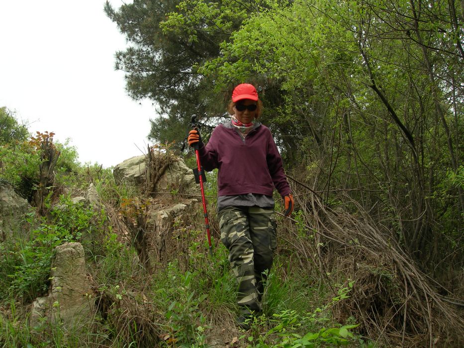 dscn7398.jpg