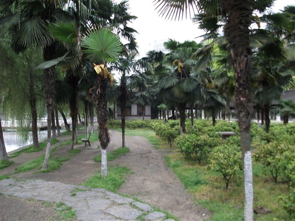 Ƭ 004.jpg