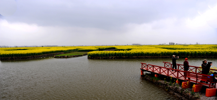 dsc_4555.jpg