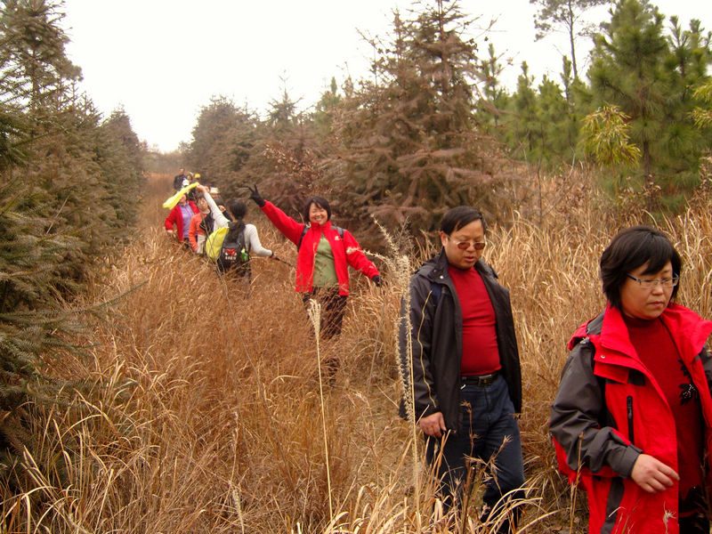 snc10010.jpg