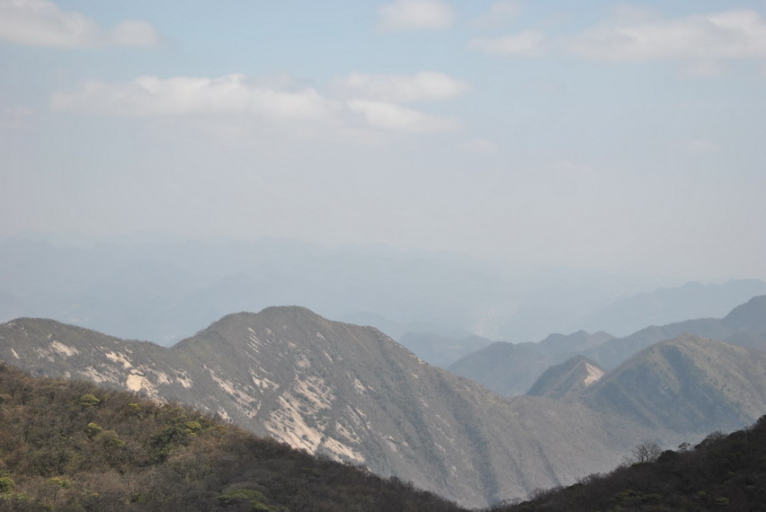 p 202.jpg