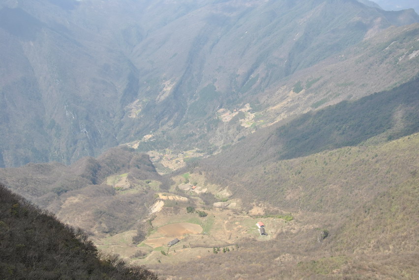 p 206.jpg