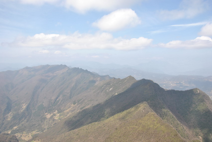 p 208.jpg