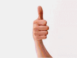 201041020361833631.gif