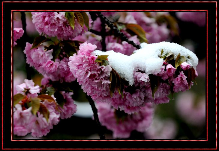 dsc_0571.jpg