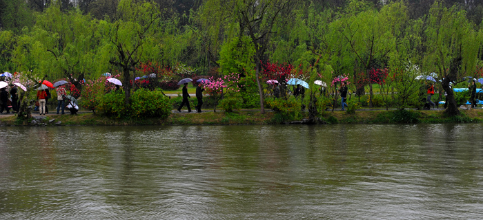 dsc_4808.jpg