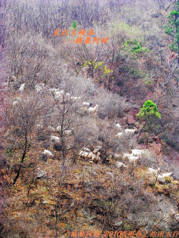 ̫֮2 1118.jpg