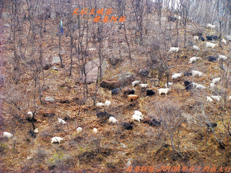 ̫֮2 1125.jpg