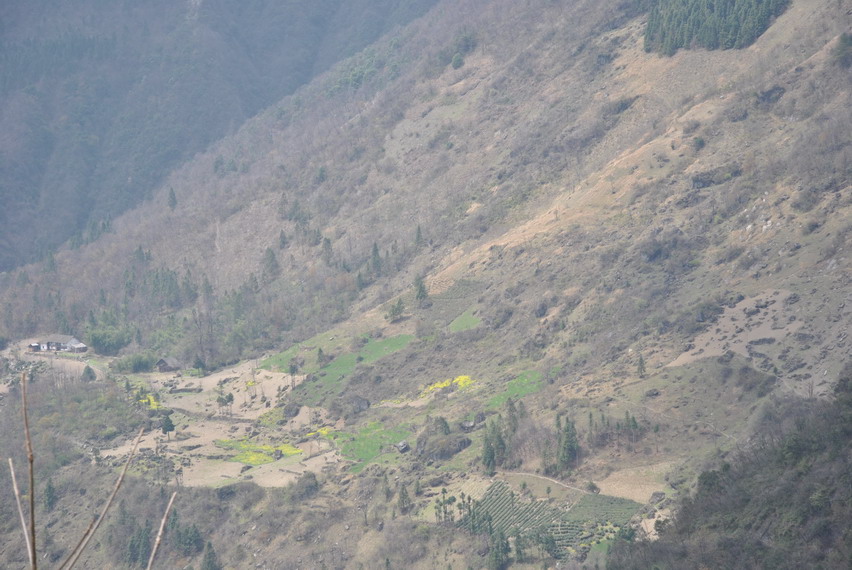 p 233.jpg