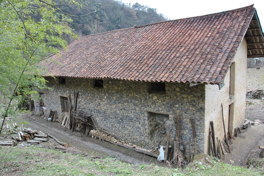 p 231.jpg