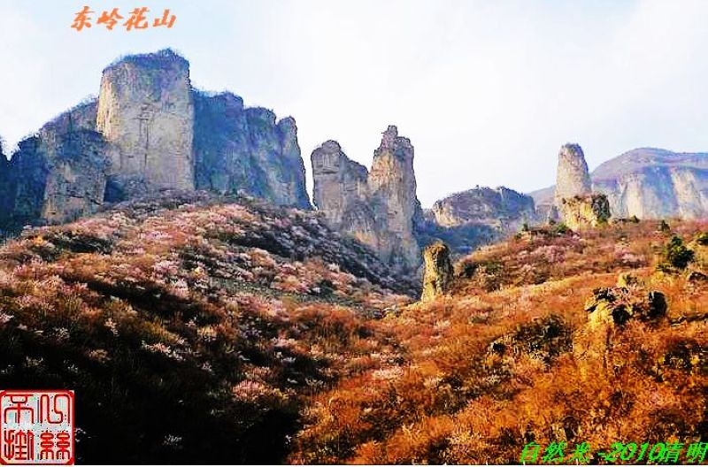l1100260东岭花山.jpg