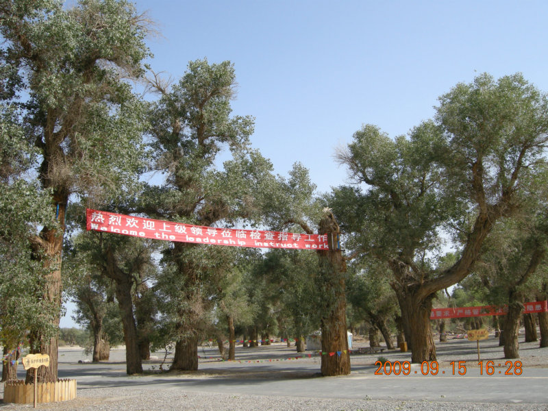 dscn3327.jpg