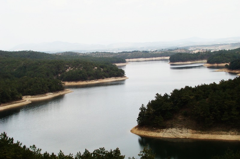 dsc06318.jpg