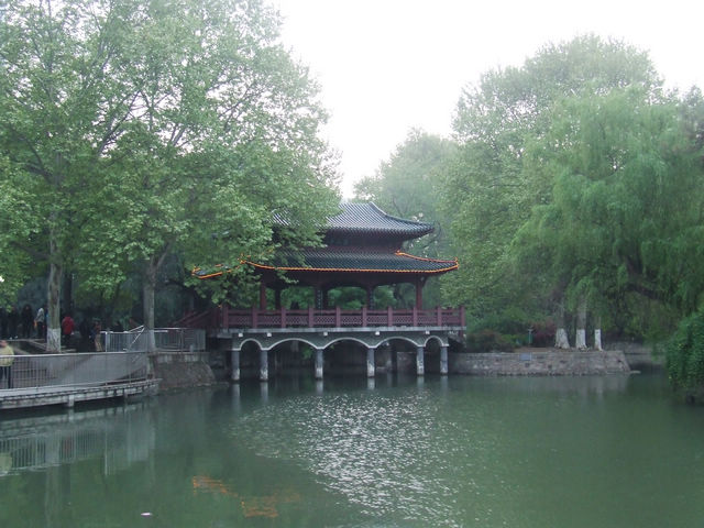 dscf0874.jpg
