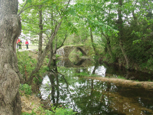 dscf0929.jpg