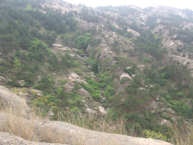 dscf0941.jpg