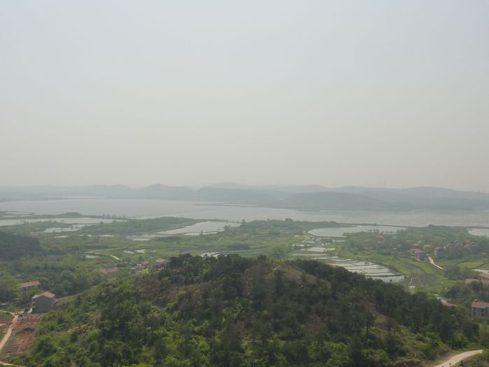 p1020447.jpg