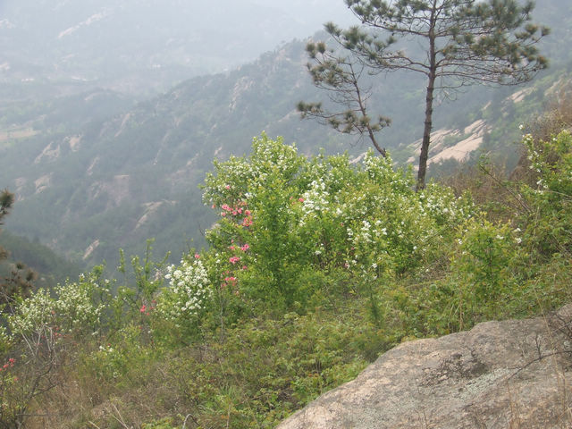 dscf0972.jpg