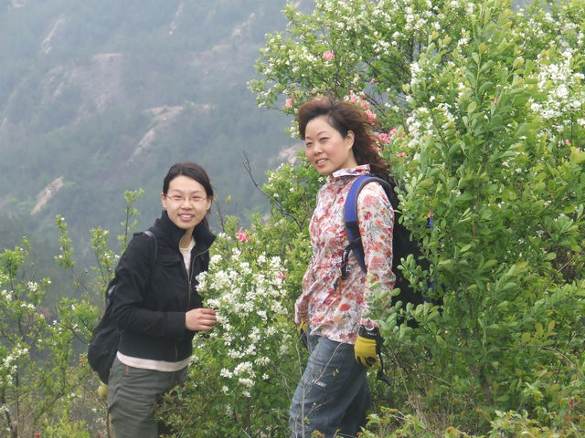 dscf0975.jpg