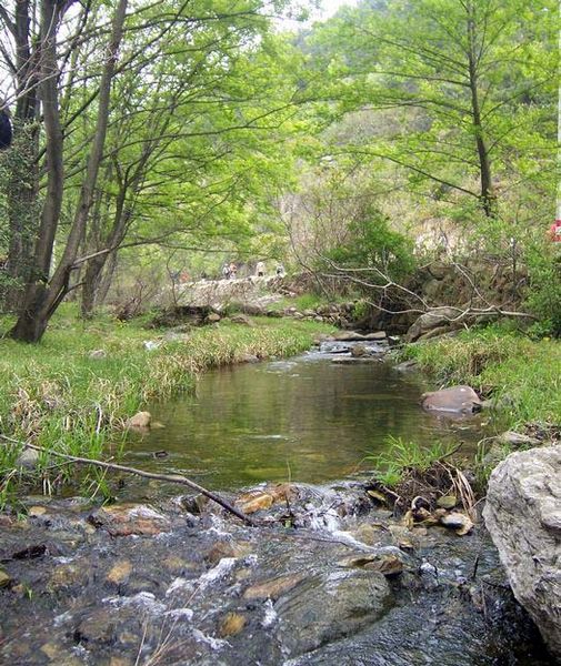 100_6632.jpg