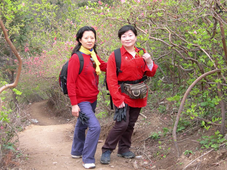 dscn7521.jpg