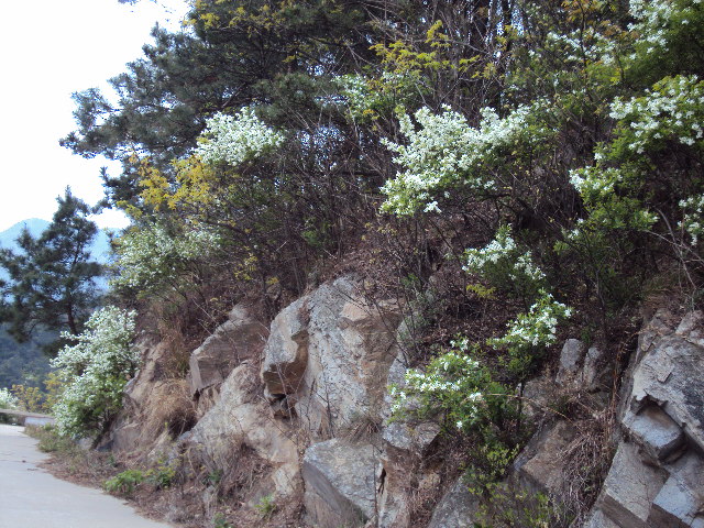 dsc02363.jpg