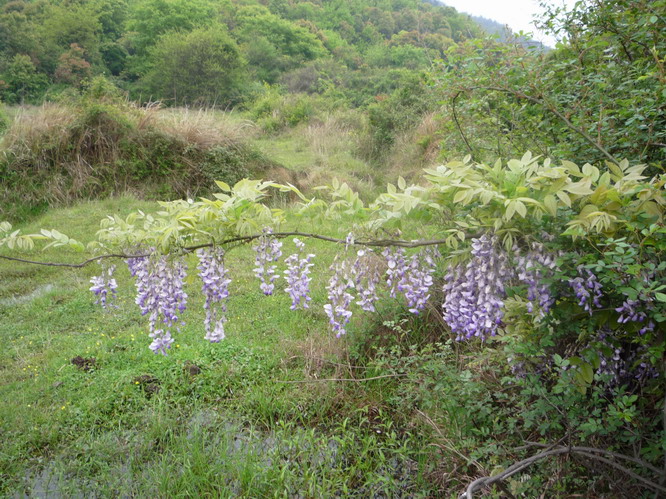 p1020132.jpg