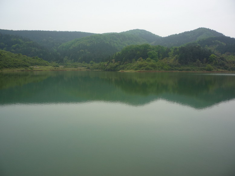 p1020135.jpg