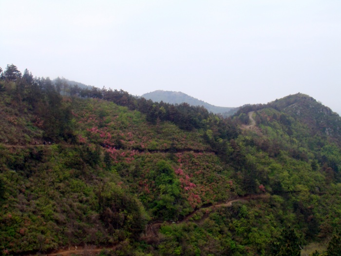dsc07614.jpg