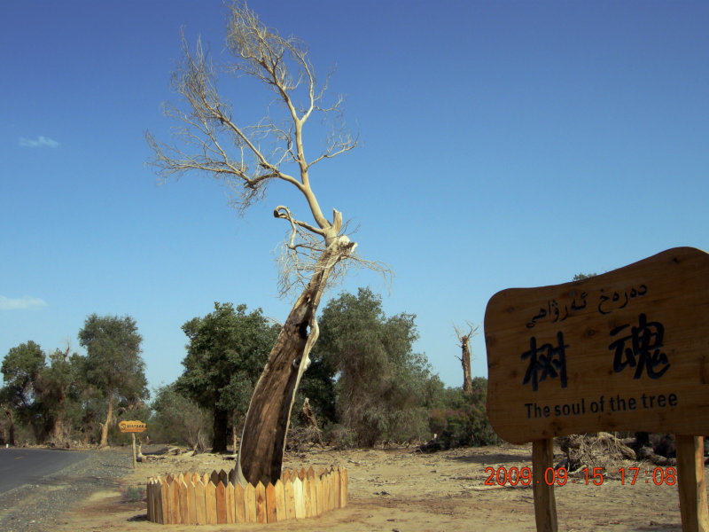 dscn3343.jpg