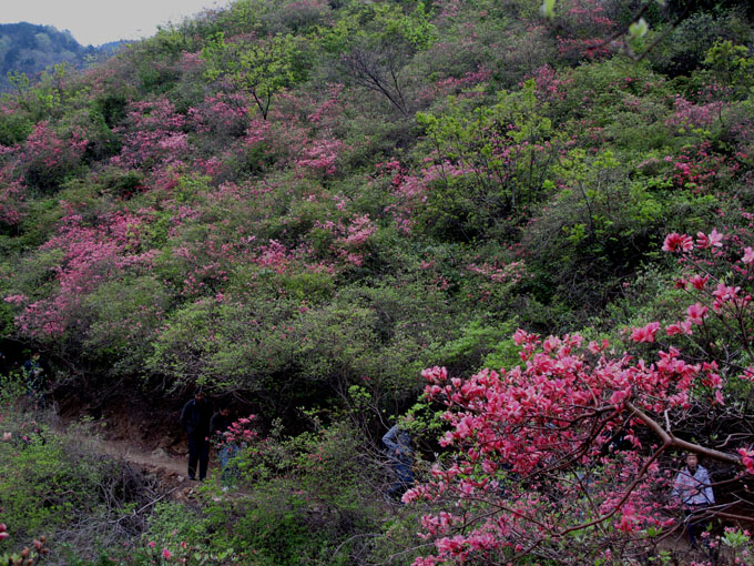 yuen 094.jpg