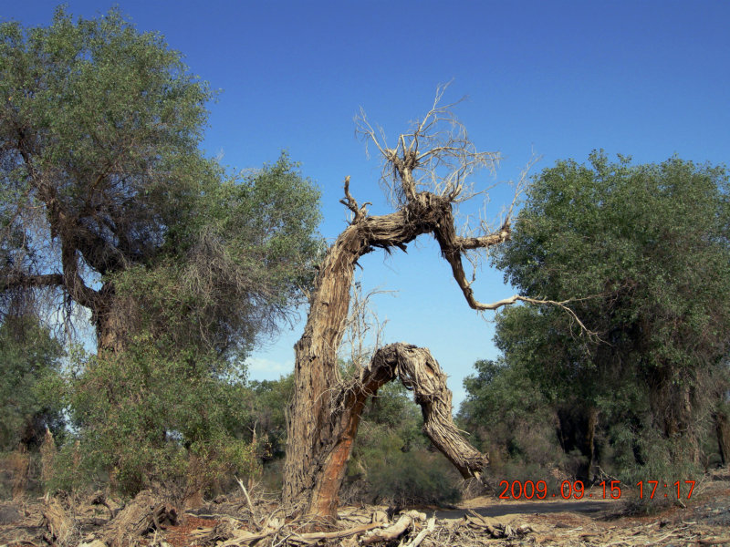 dscn3352.jpg