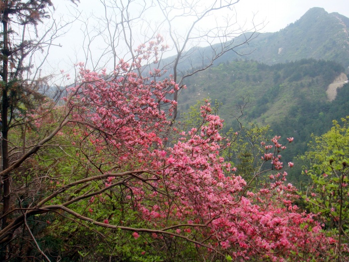 dsc07634.jpg