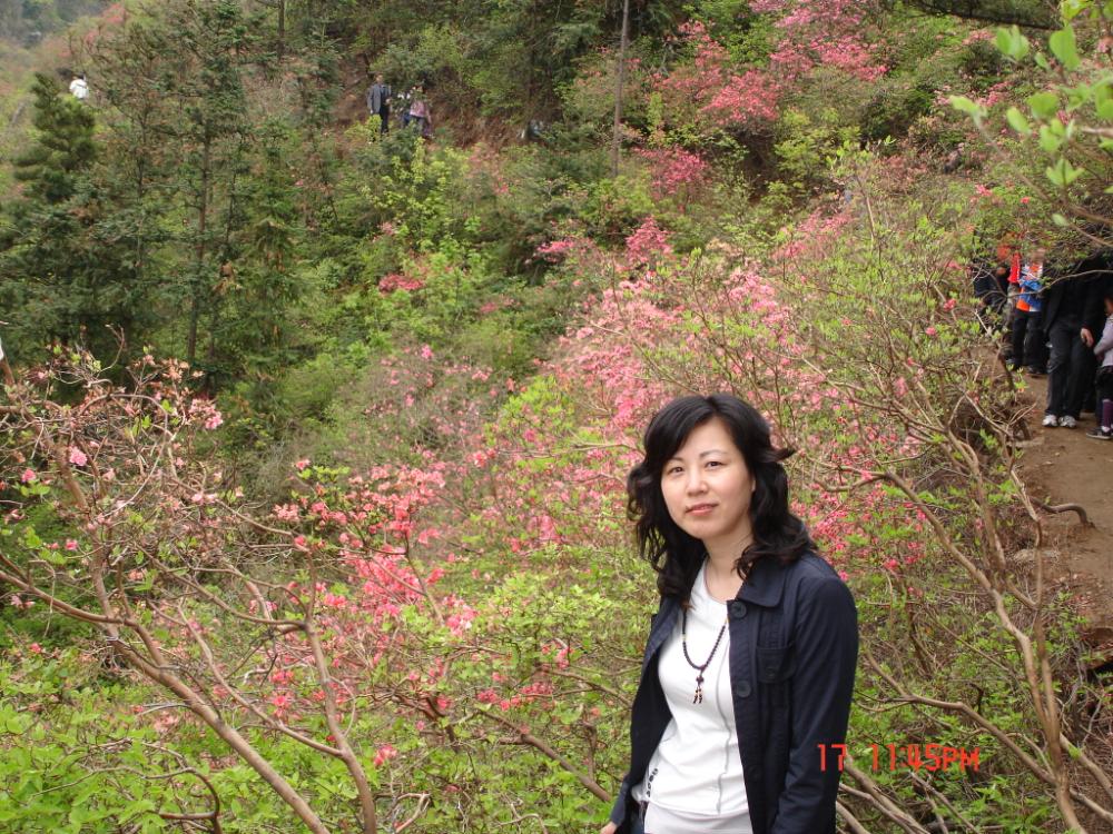 dsc01739.jpg