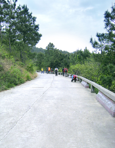 Ƭ 030 copy.jpg