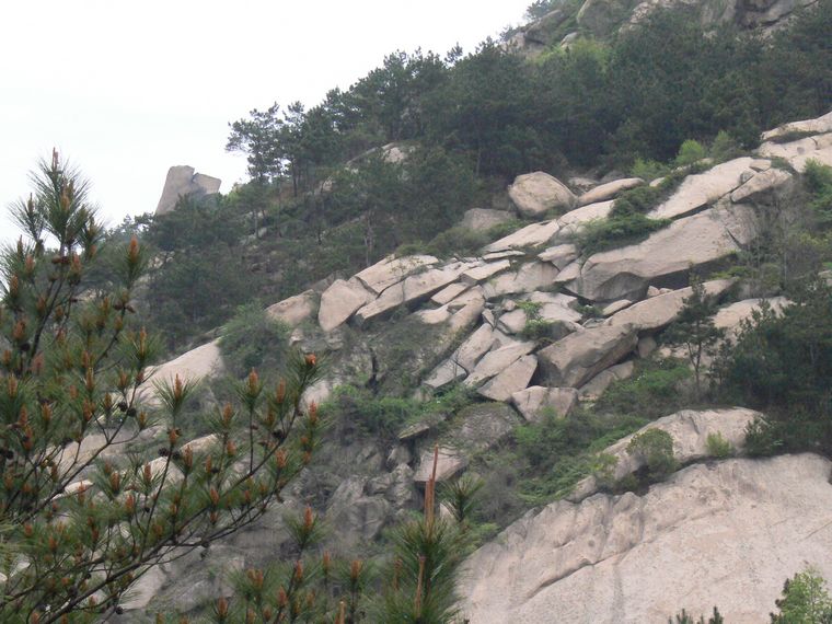 p1090761.jpg